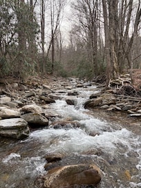 Soothing sounds of the creek.