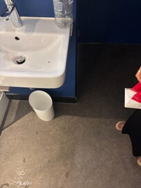 Spider in the sink beside the bed