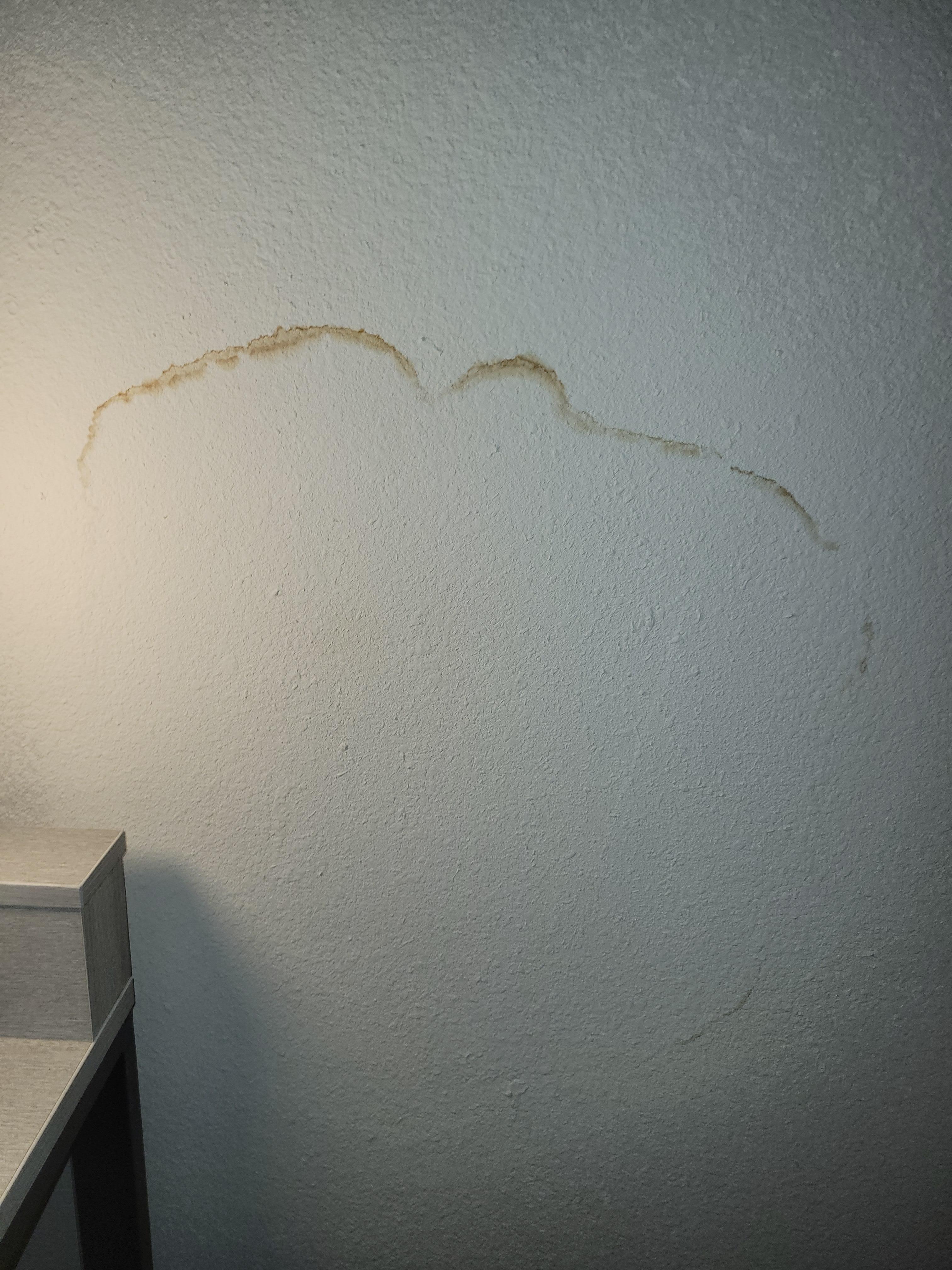 Nasty water stain on the wall