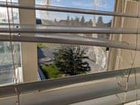 Showing the ripped out screen and the broken blind in one upstairs bedroom.