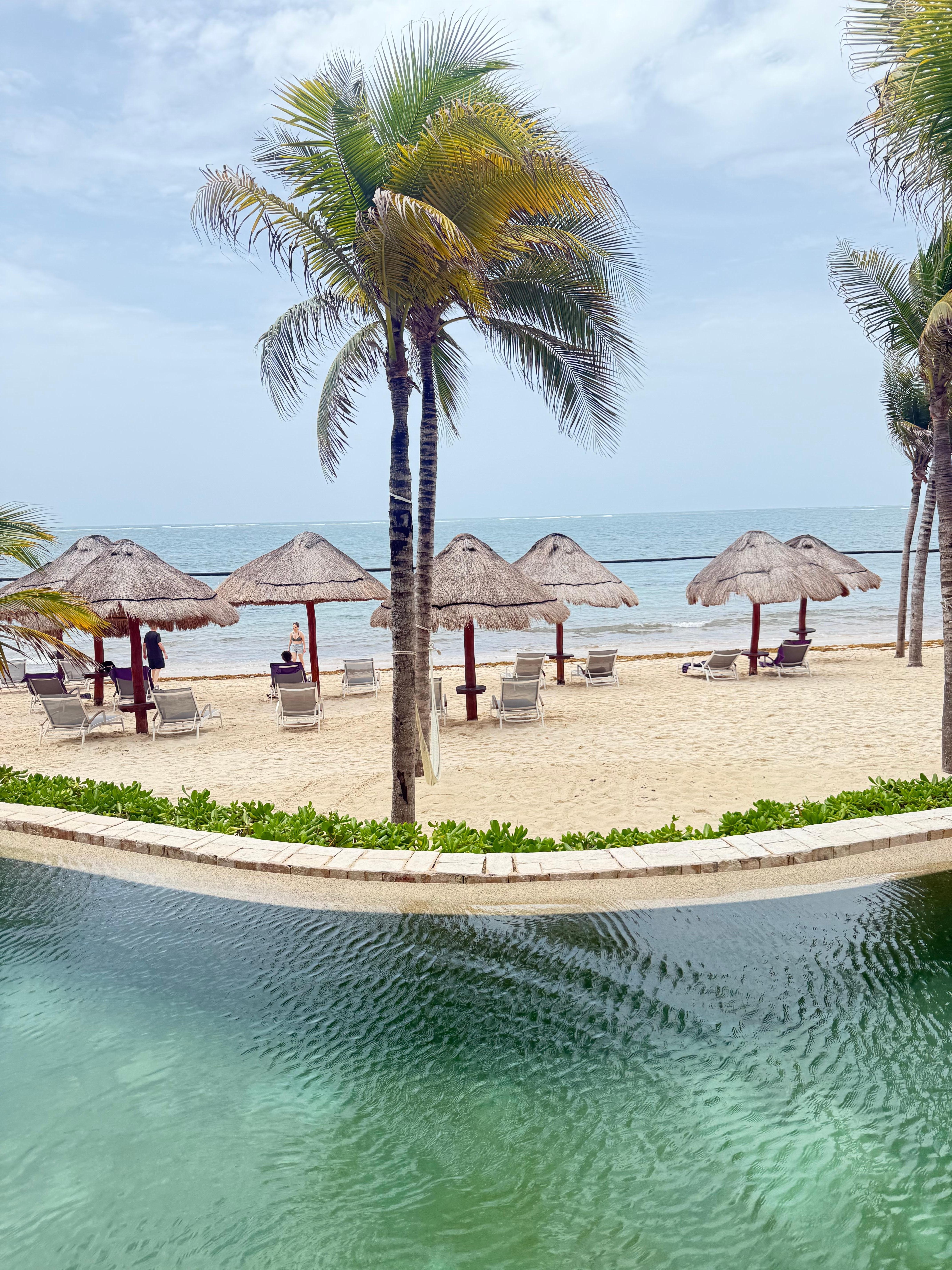Beautiful Swim out ocean front