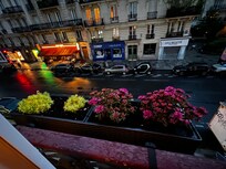 Beautiful flowers by the window