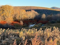 Windham Path