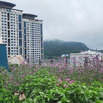 Rooftop garden