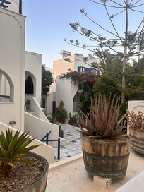 The lovely grounds