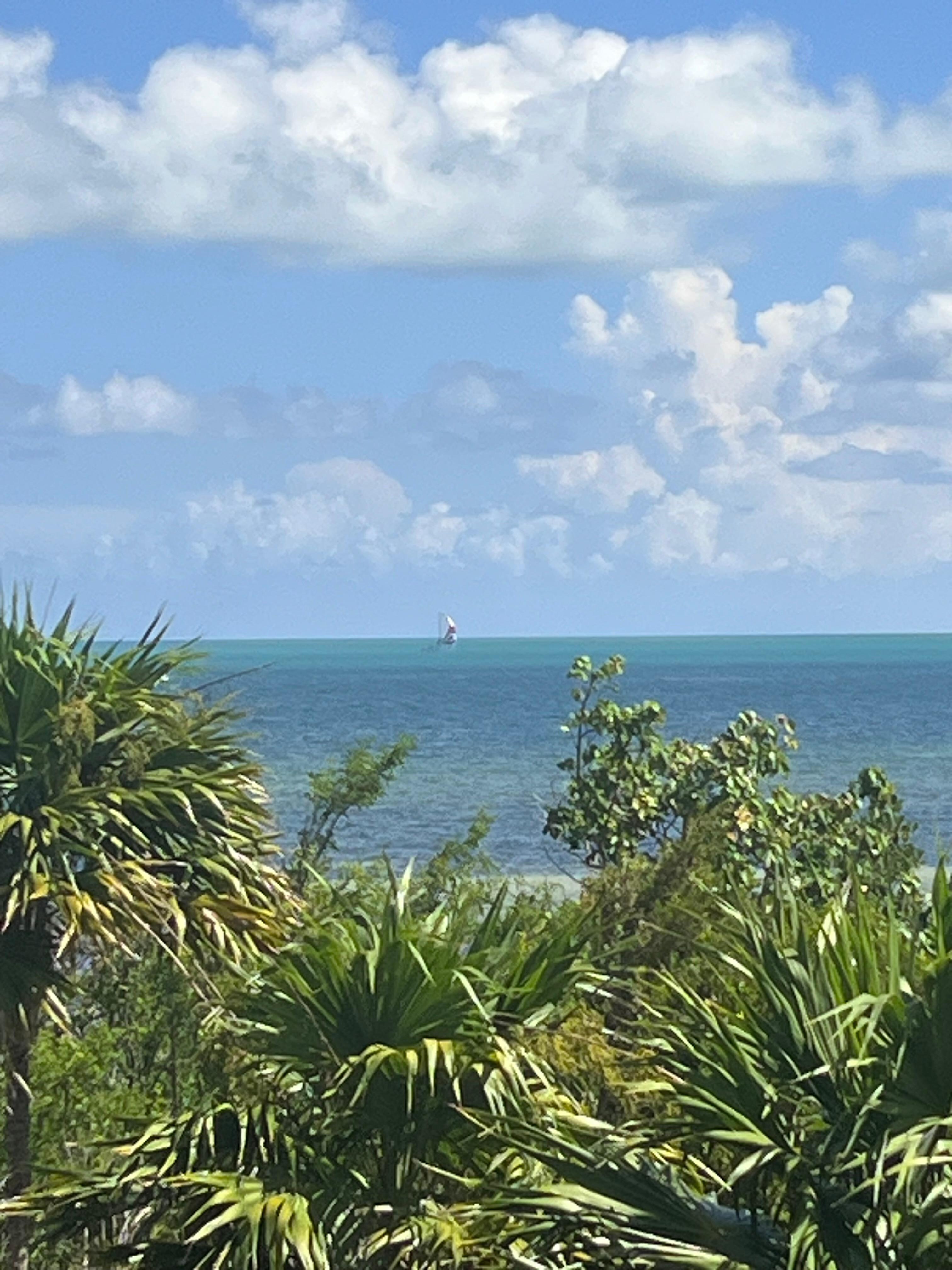 View from balcony 