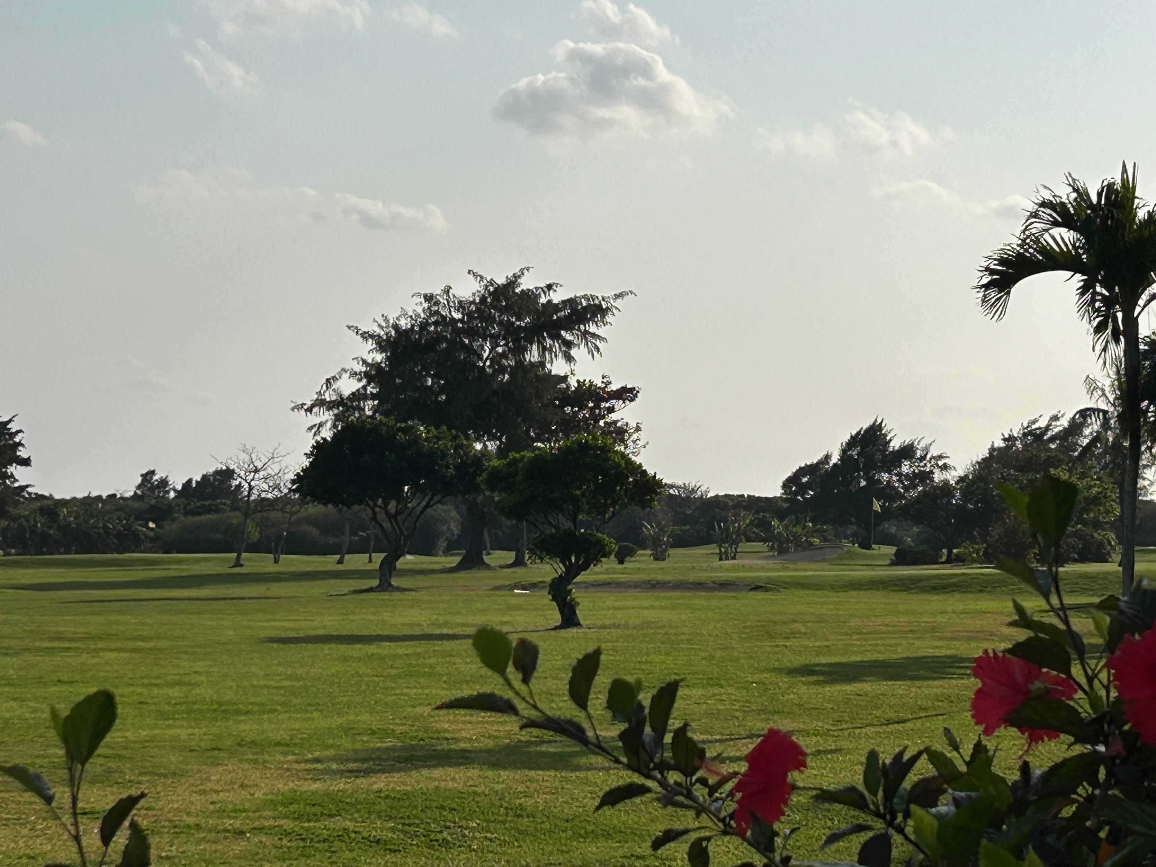 Looking out from the front hotel lounge on 1st floor (golf course).