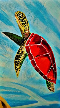 Estudio Tortuga mural