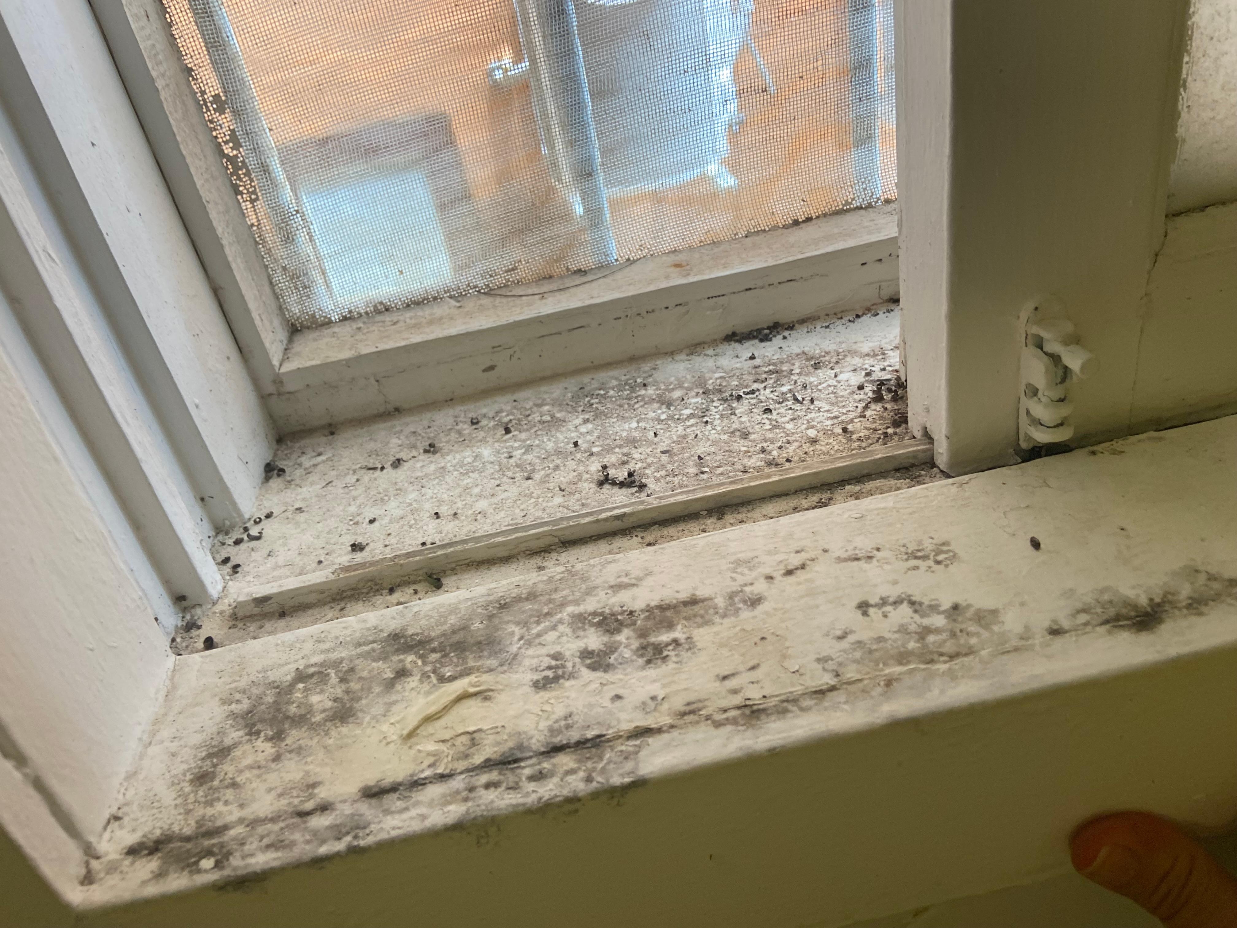 Shower window when we checked in 