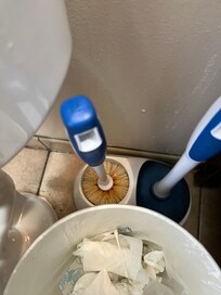 Pink mold covering toilet brush.