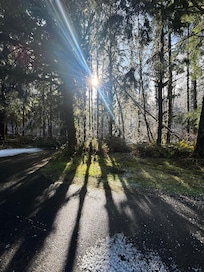 Outside view from front sitting room at the rental property.
