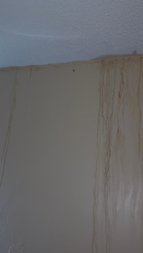 All along the wall was some sort of drips and that black spot is a coachroach.