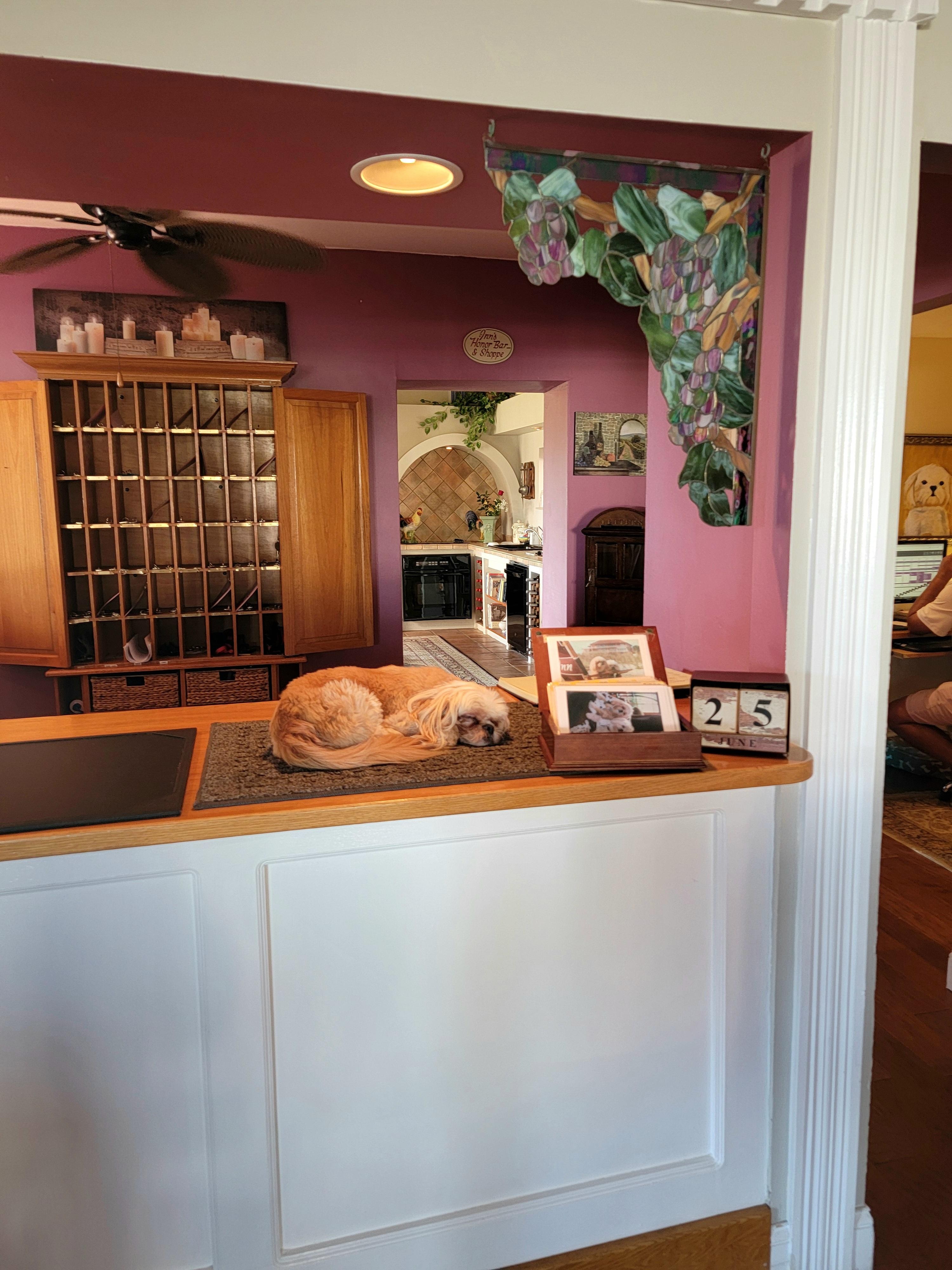Front desk with Lucy