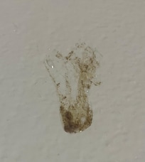Spit on the wall