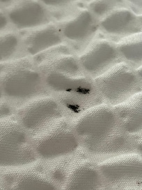 bedspread