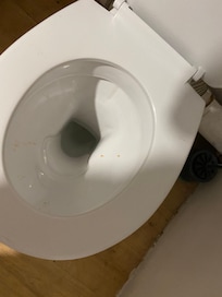 Poo in toilet
