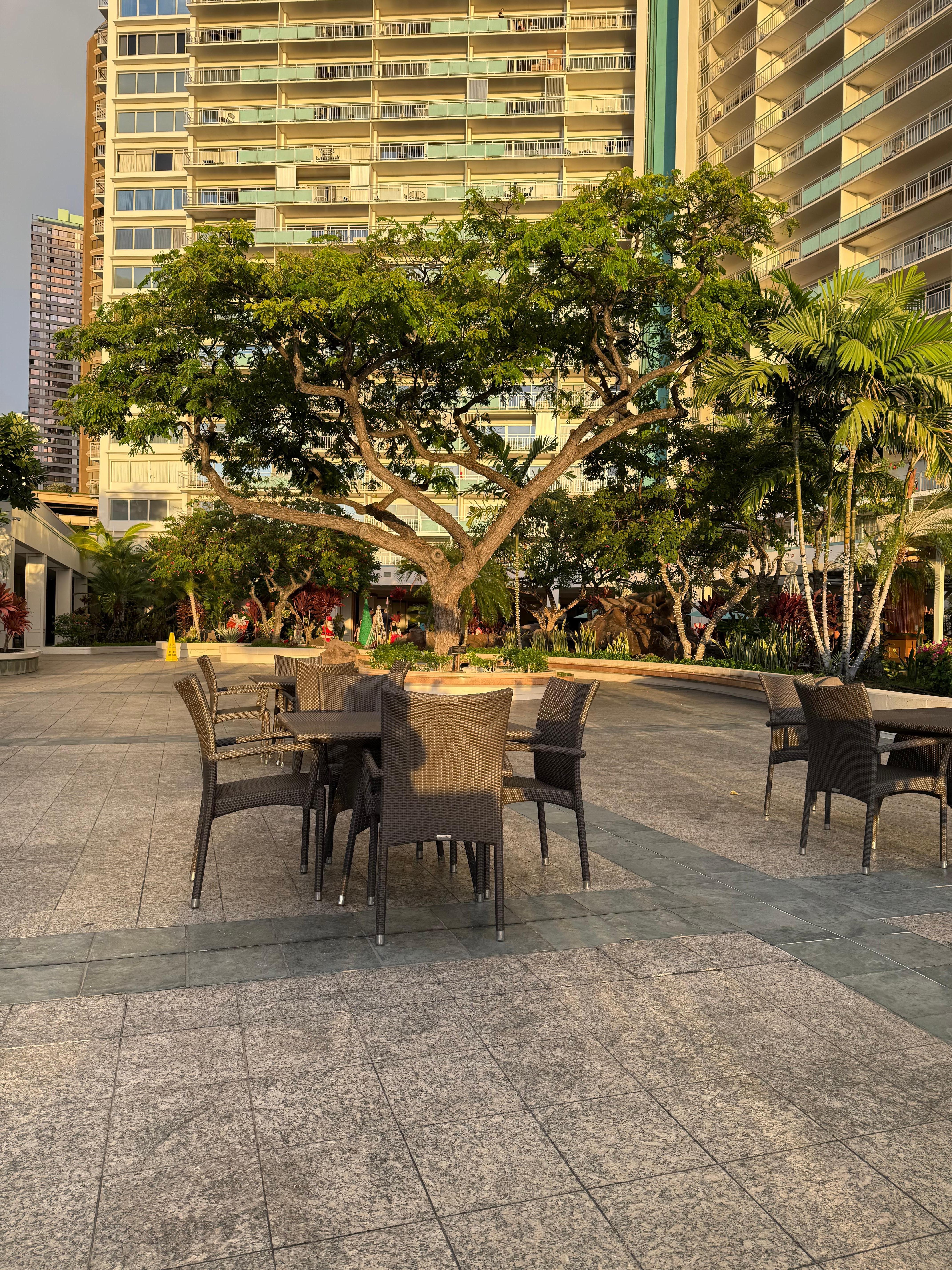 Court yard at Ilikai 