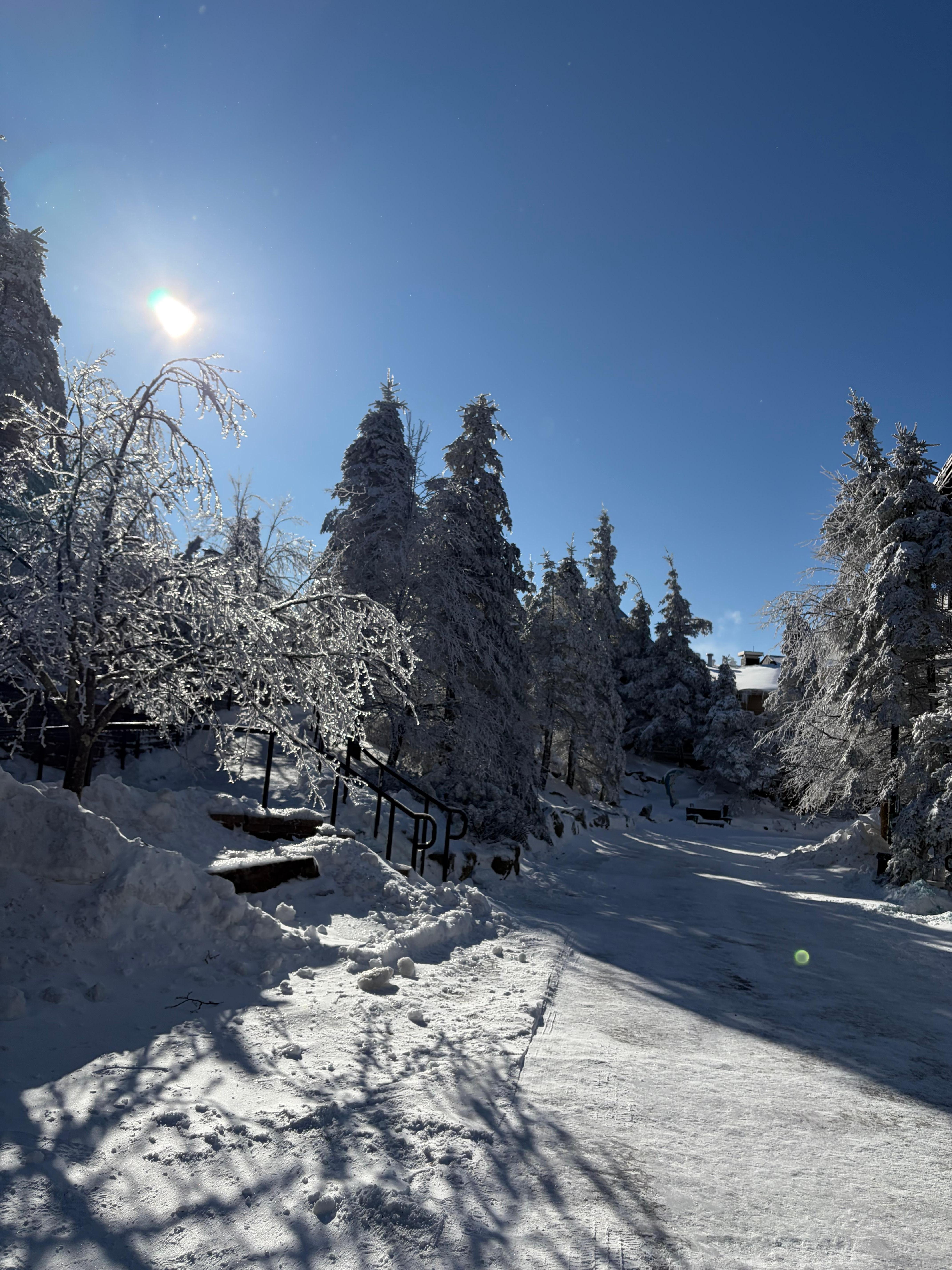 A view from the exit to the village looking toward Split Rock.