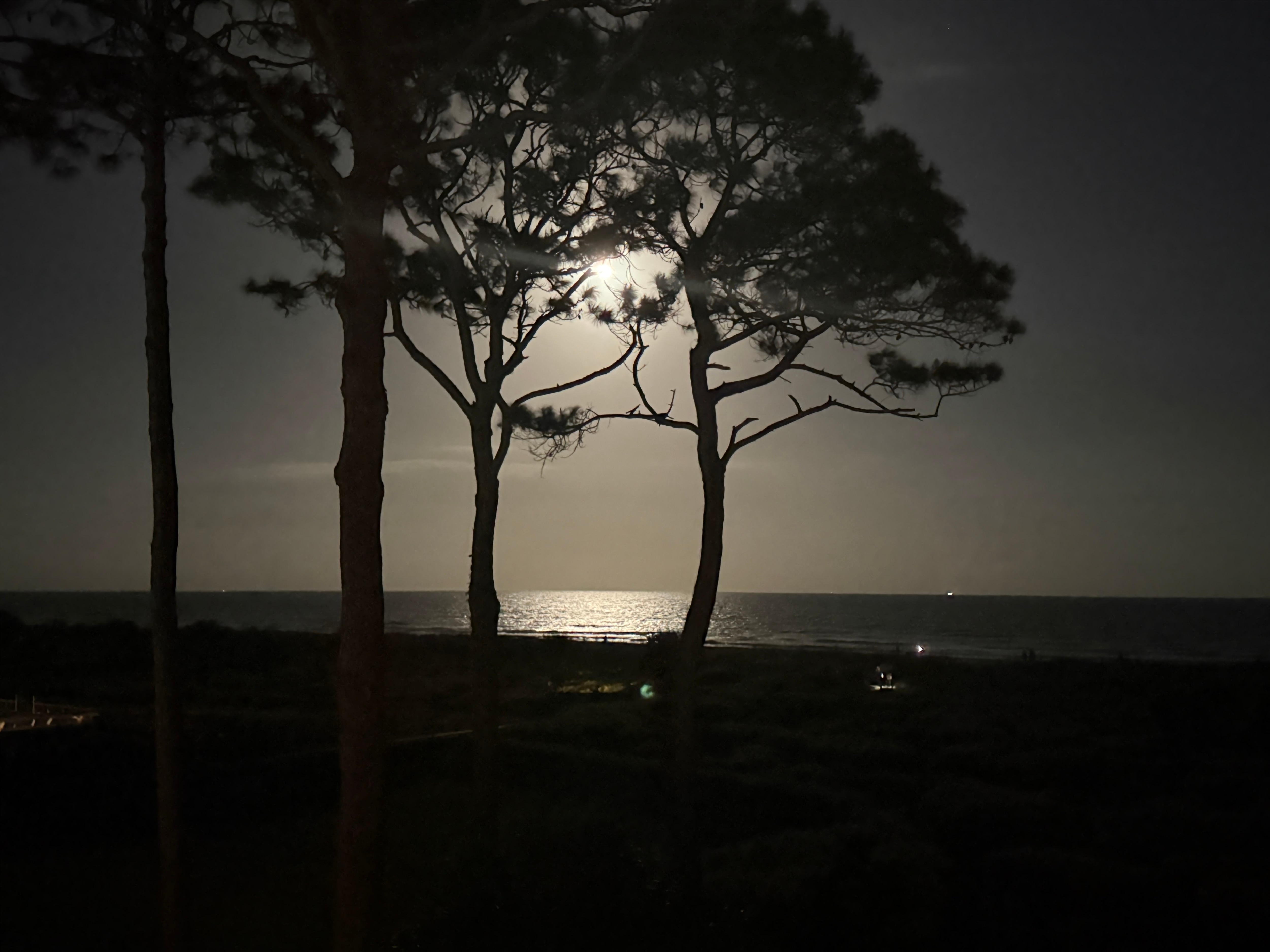 View from the condo under a full moon at night.  