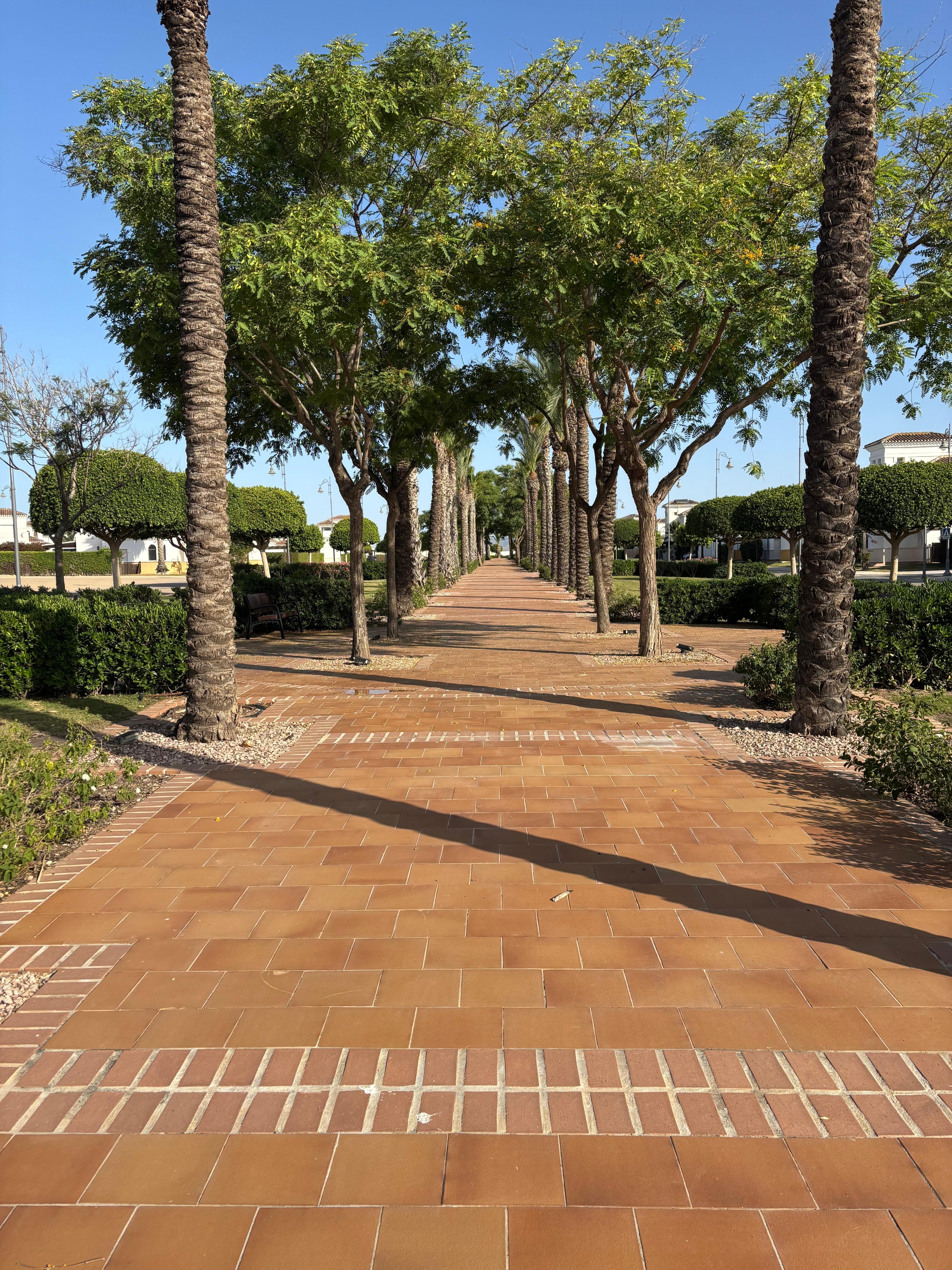 Nearby walk