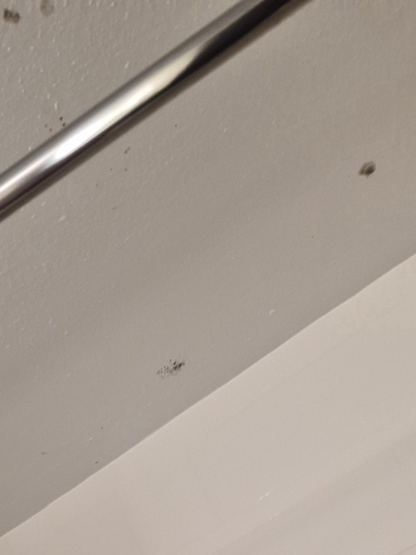 Mold on ceiling 
