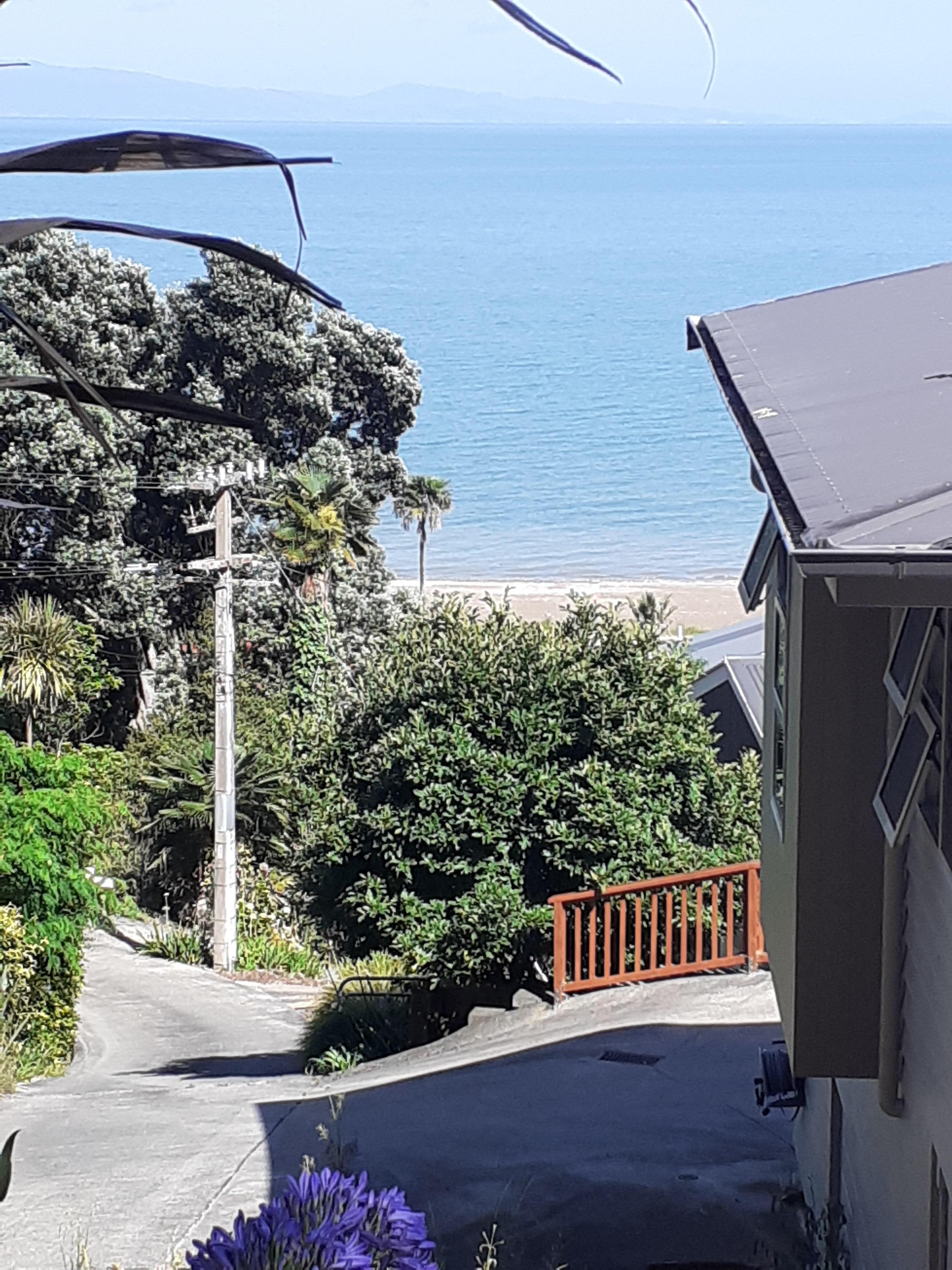 The view from the deck.