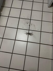 Swept right when I got in. This remained after they “cleaned the unit”