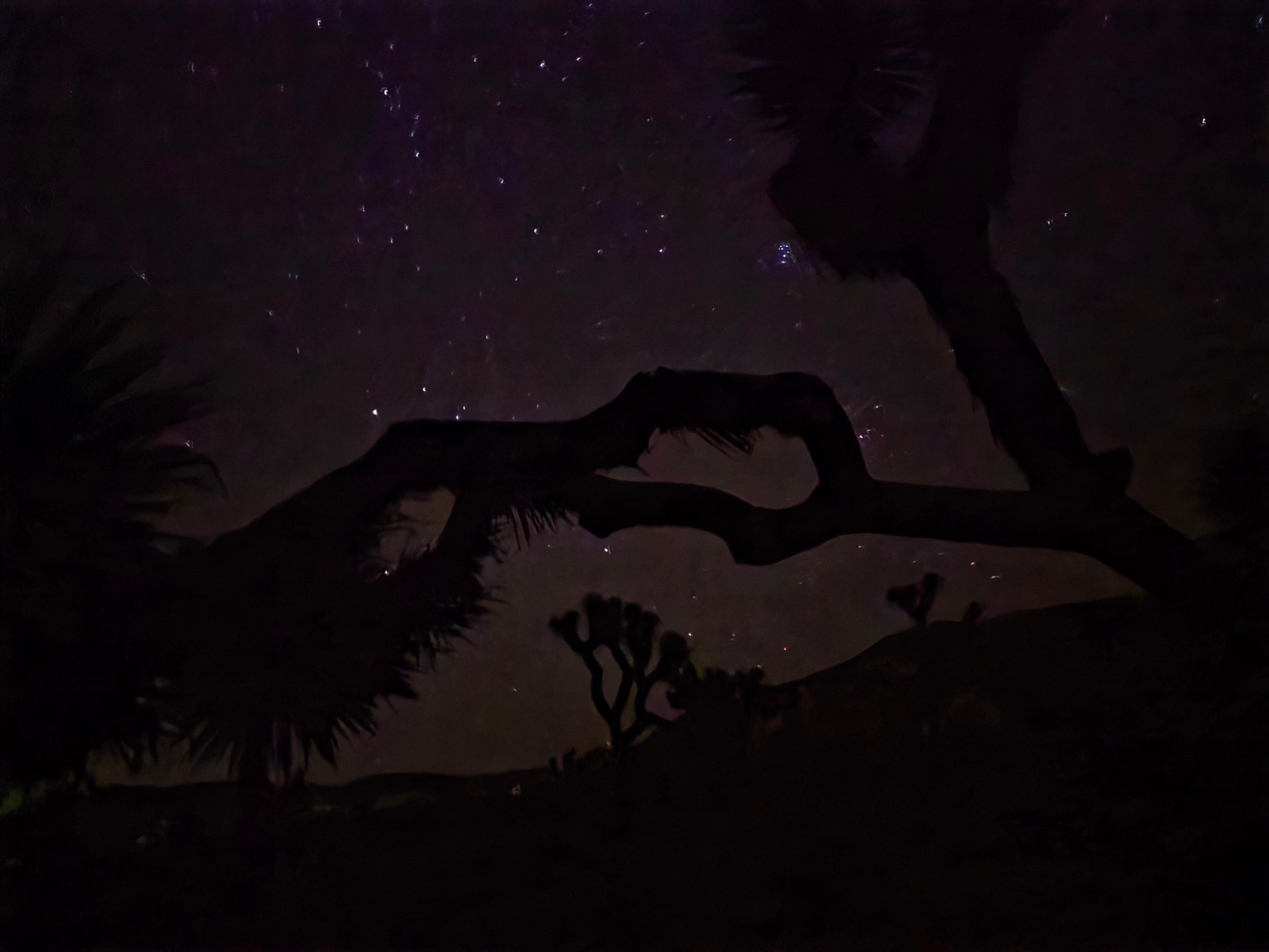 Beautiful Joshua Tree National Park at night.