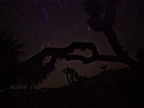 Beautiful Joshua Tree National Park at night.