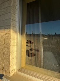 This hand print appeared in the morning after someone tried sliding open our window. Which only has a storm window in so I’m surprised they weren’t successful.