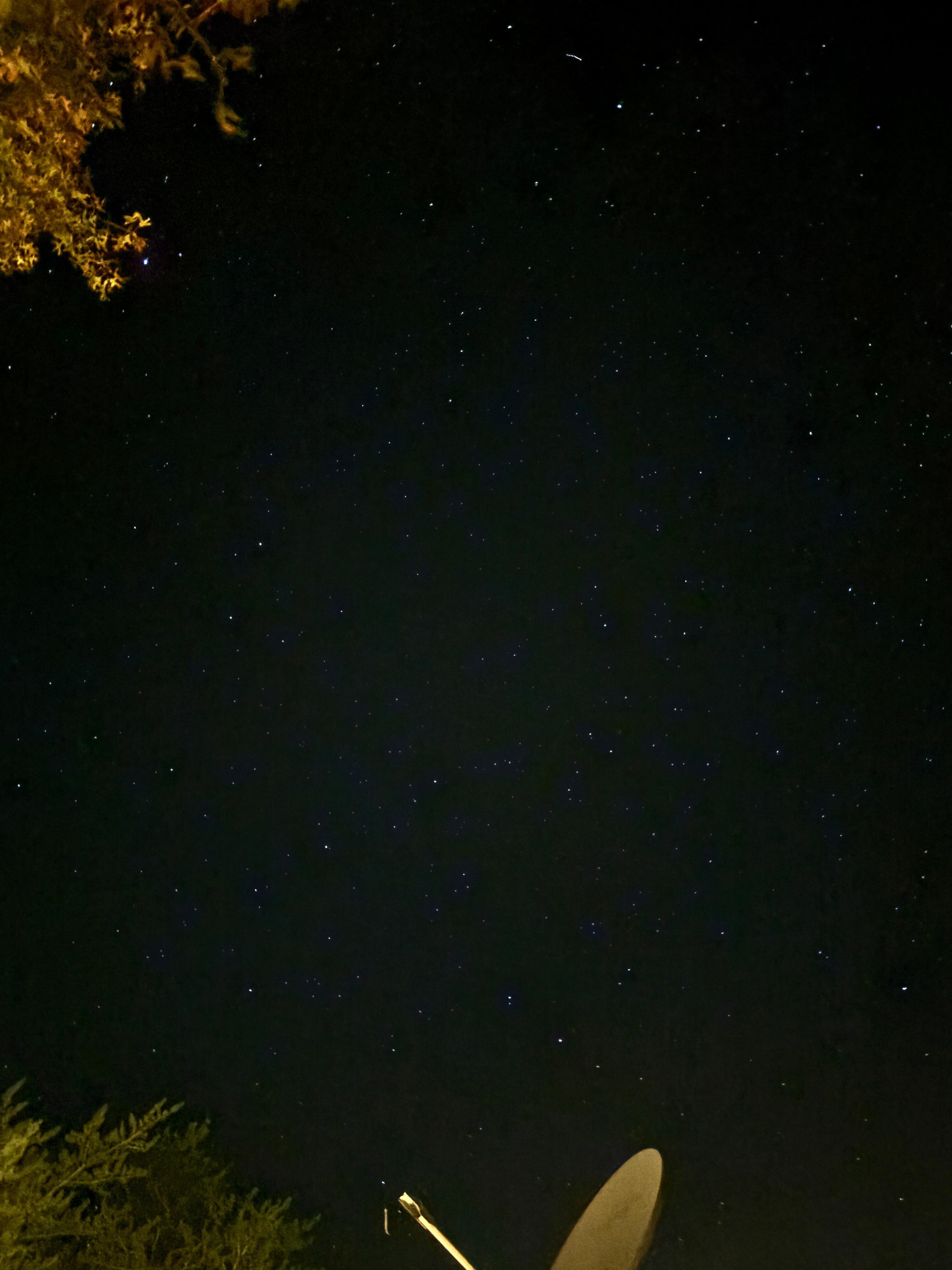 The stars from the patio. 