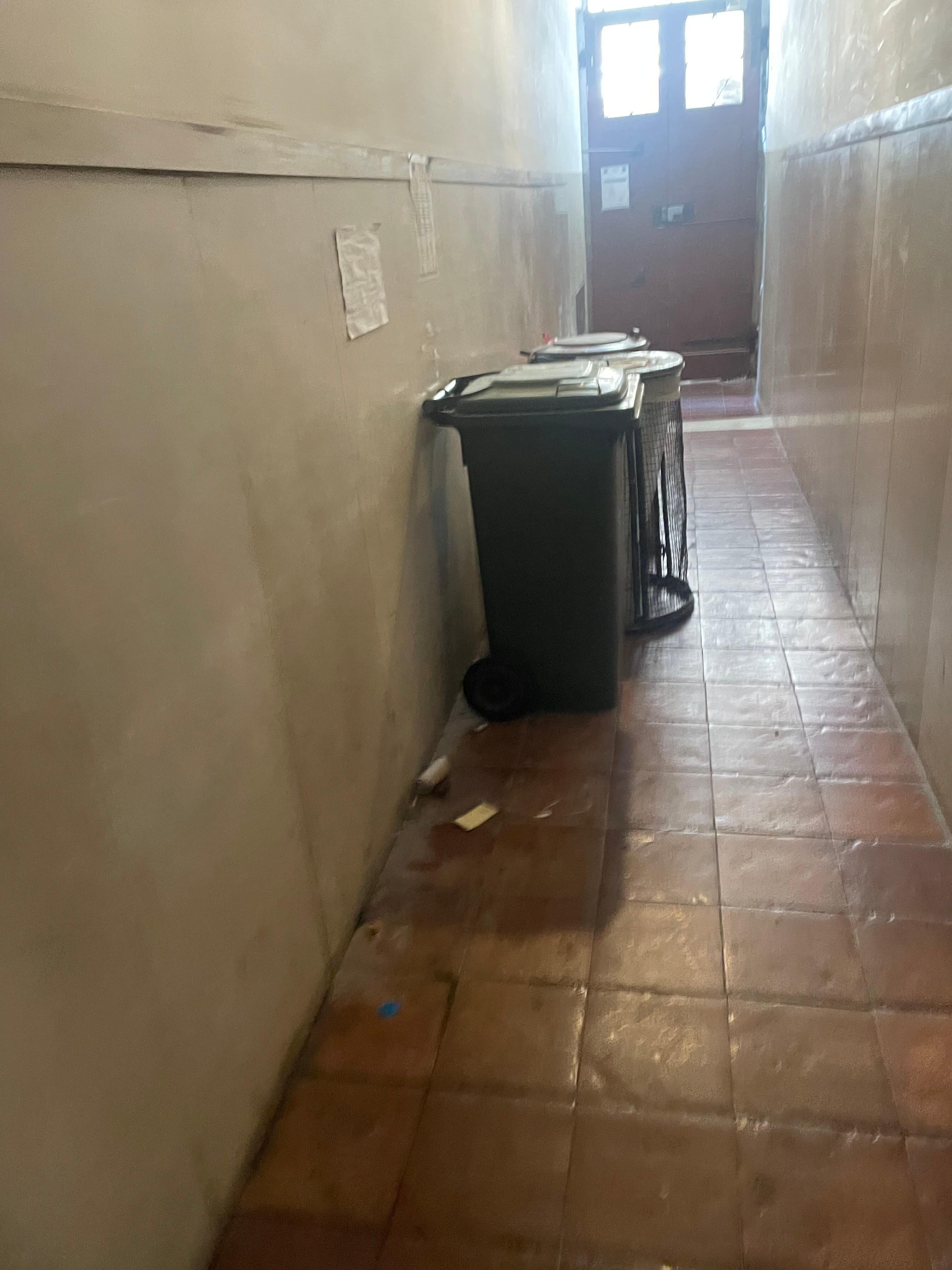 Here’s the view from the entrance. You also have to pass by trash 😂