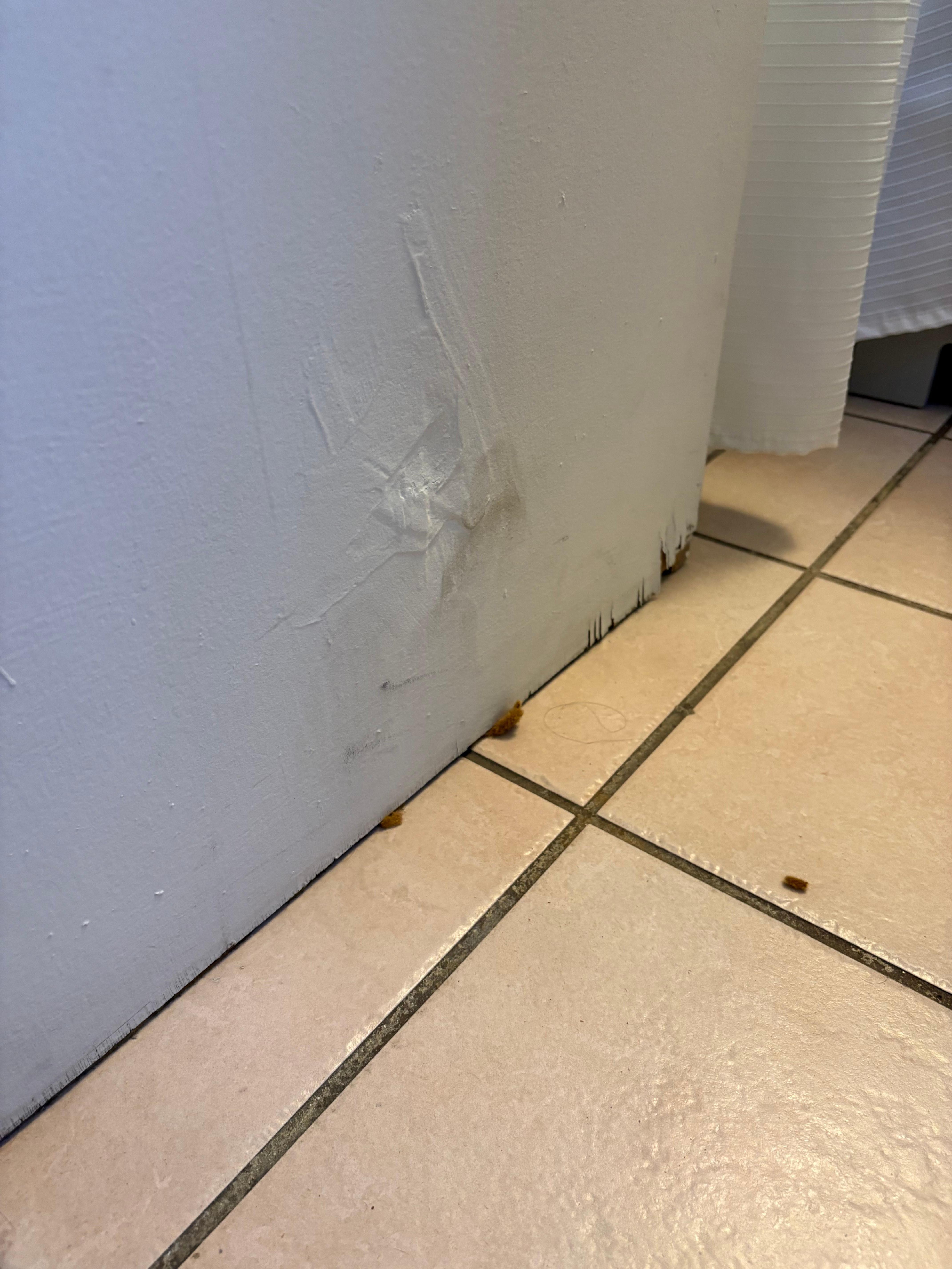 Bottom of the door falling apart from ongoing moisture