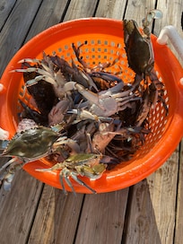 Crabbing from the dock. What a blast.