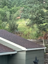 View of a deer from the rear facing bedroom