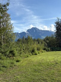 Room with a view!