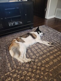 She felt at home & very relaxed.