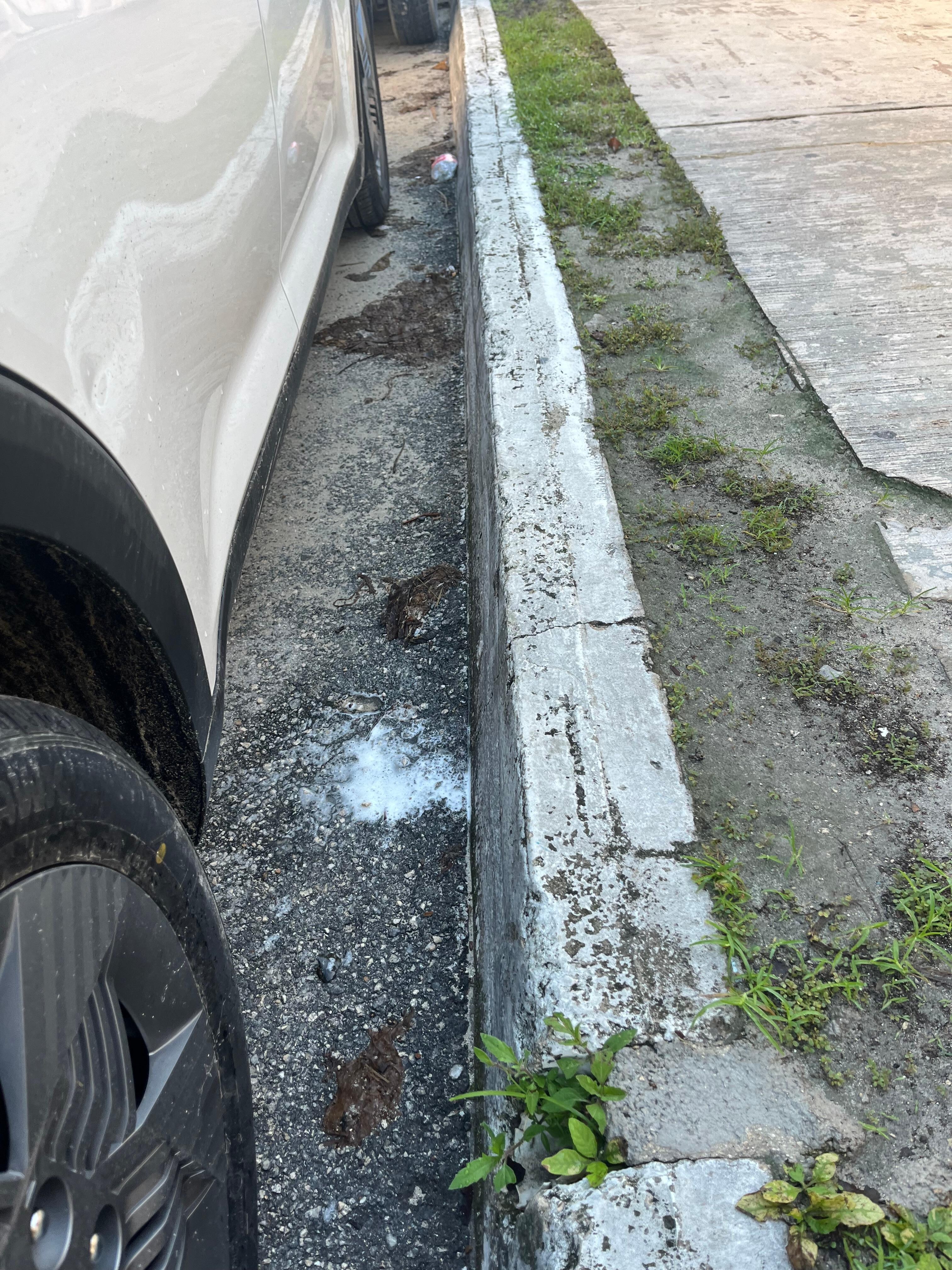 The curb where I brushed my teeth in the morning. Had to wait for the.OXXO store to open at six. 