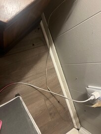 bugs all over the master bedroom floor