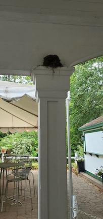 Beautiful nest in the courtyard