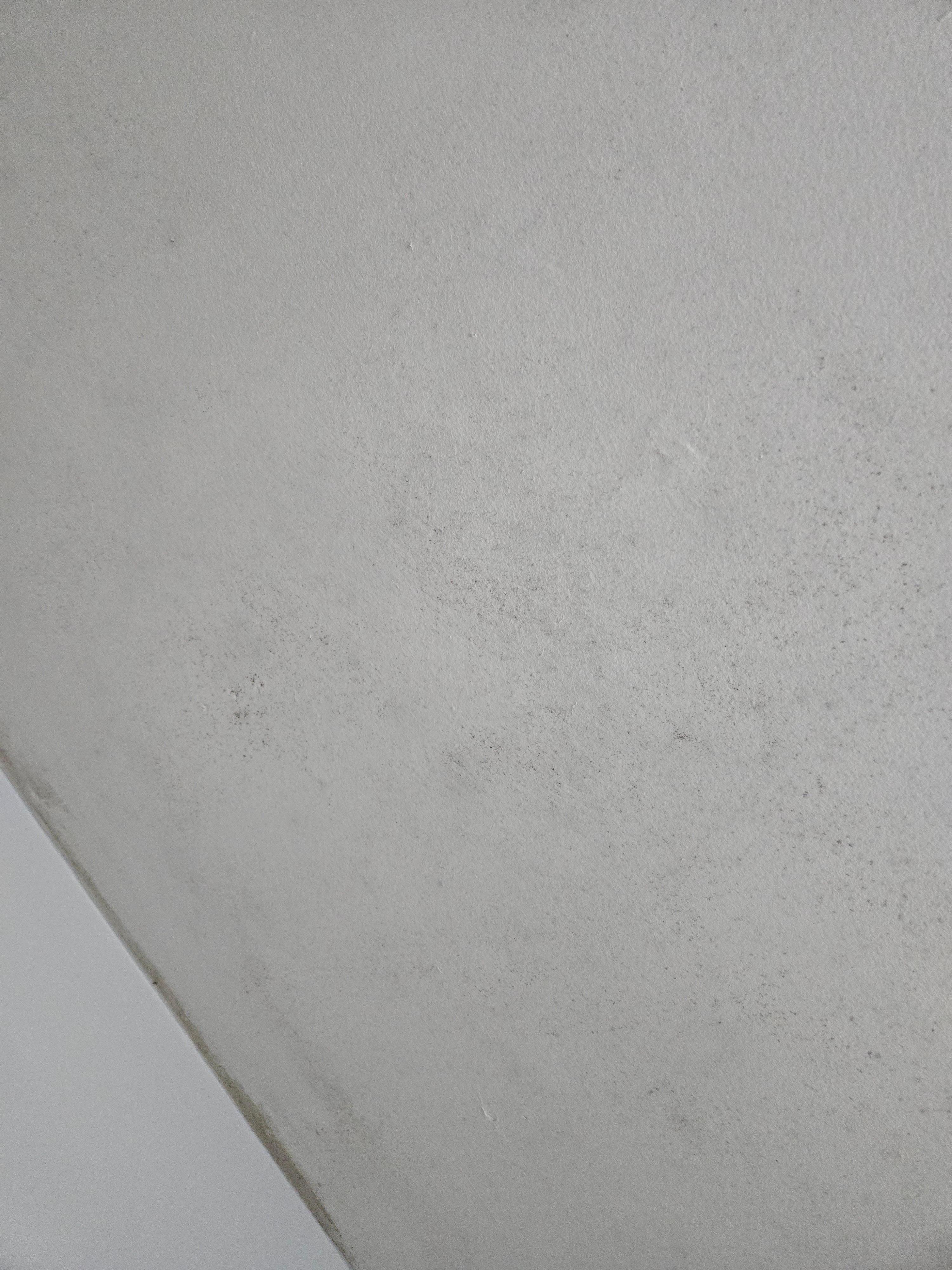 Black would on the ceiling in the shower