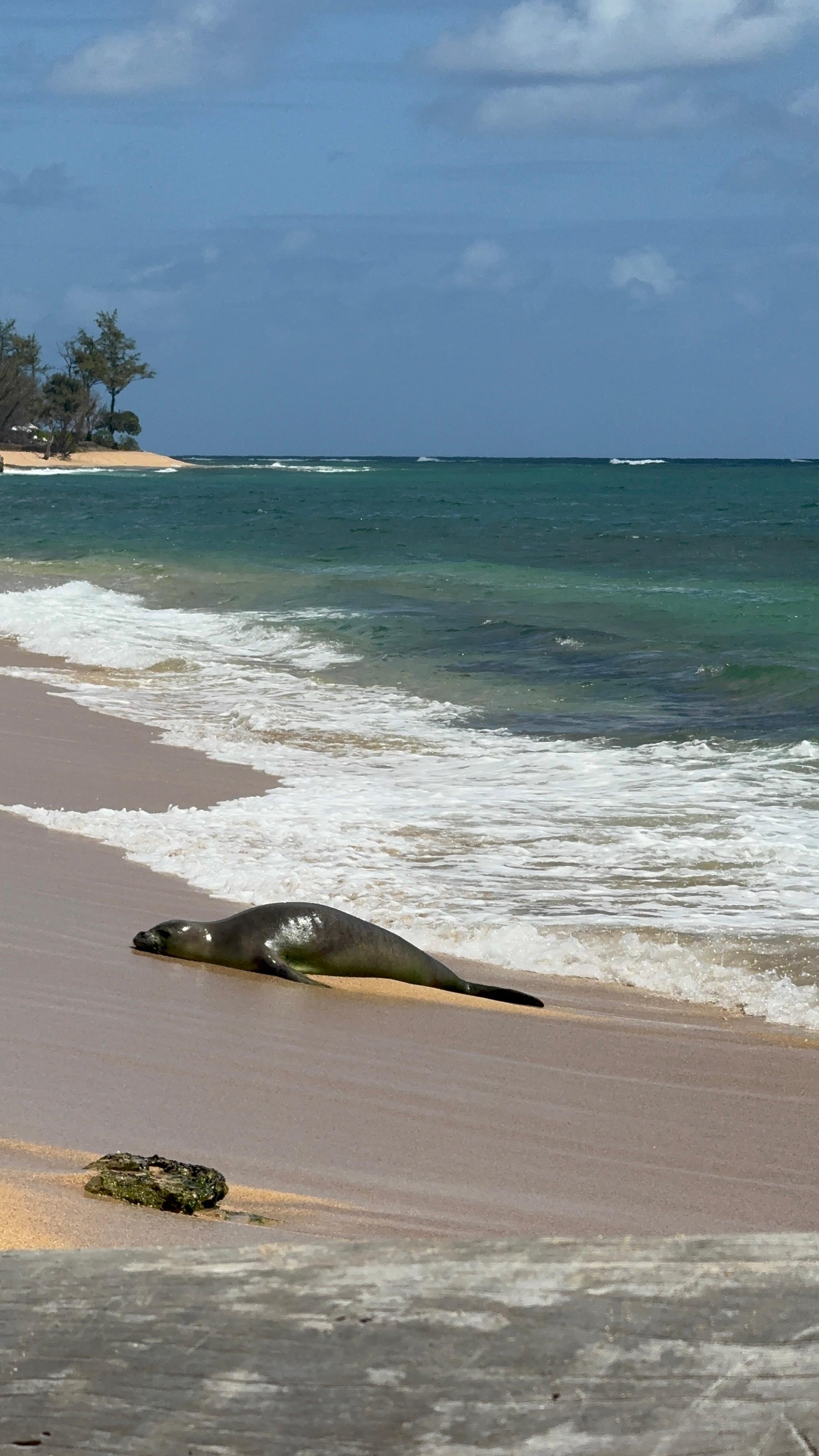 Perfect beach for swimming, snorkelling, boogie boarding. 