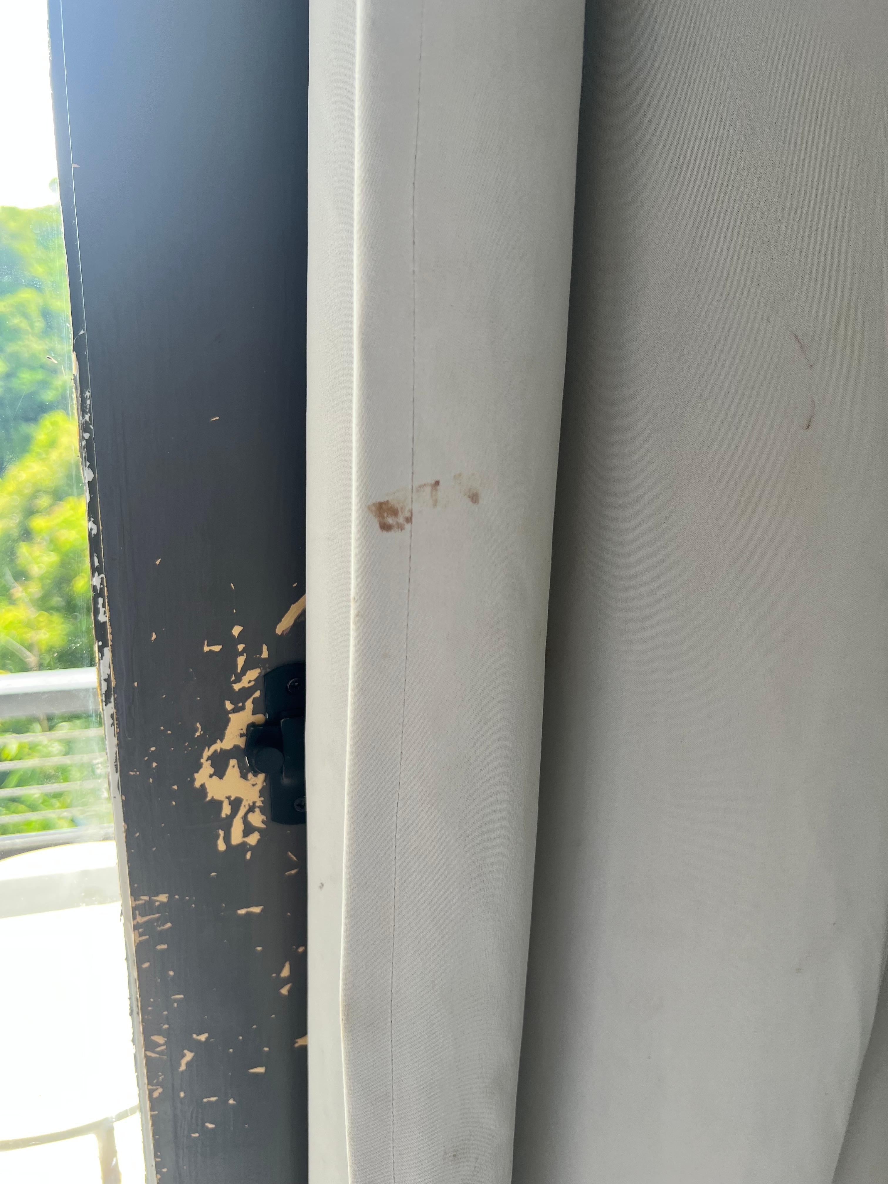 Curtains stained - blood?