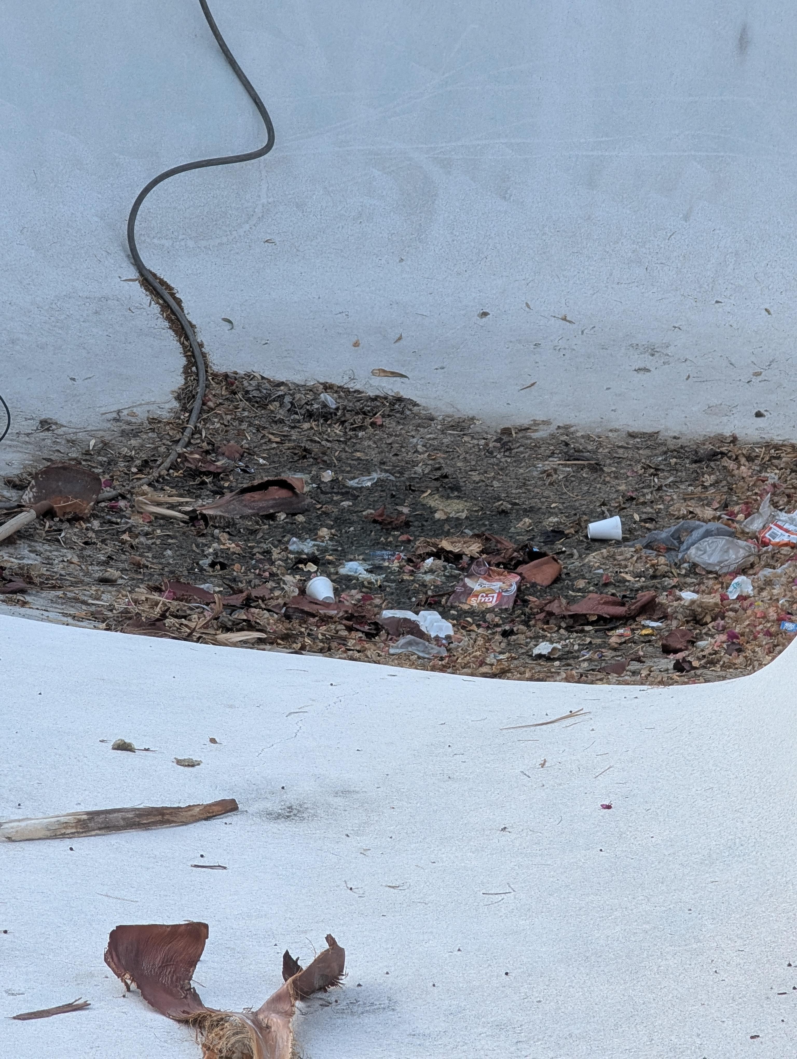 The thick layer of filth in the bottom of the pool