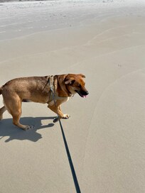 Doc (not so sure about this water coming at me! 🤣