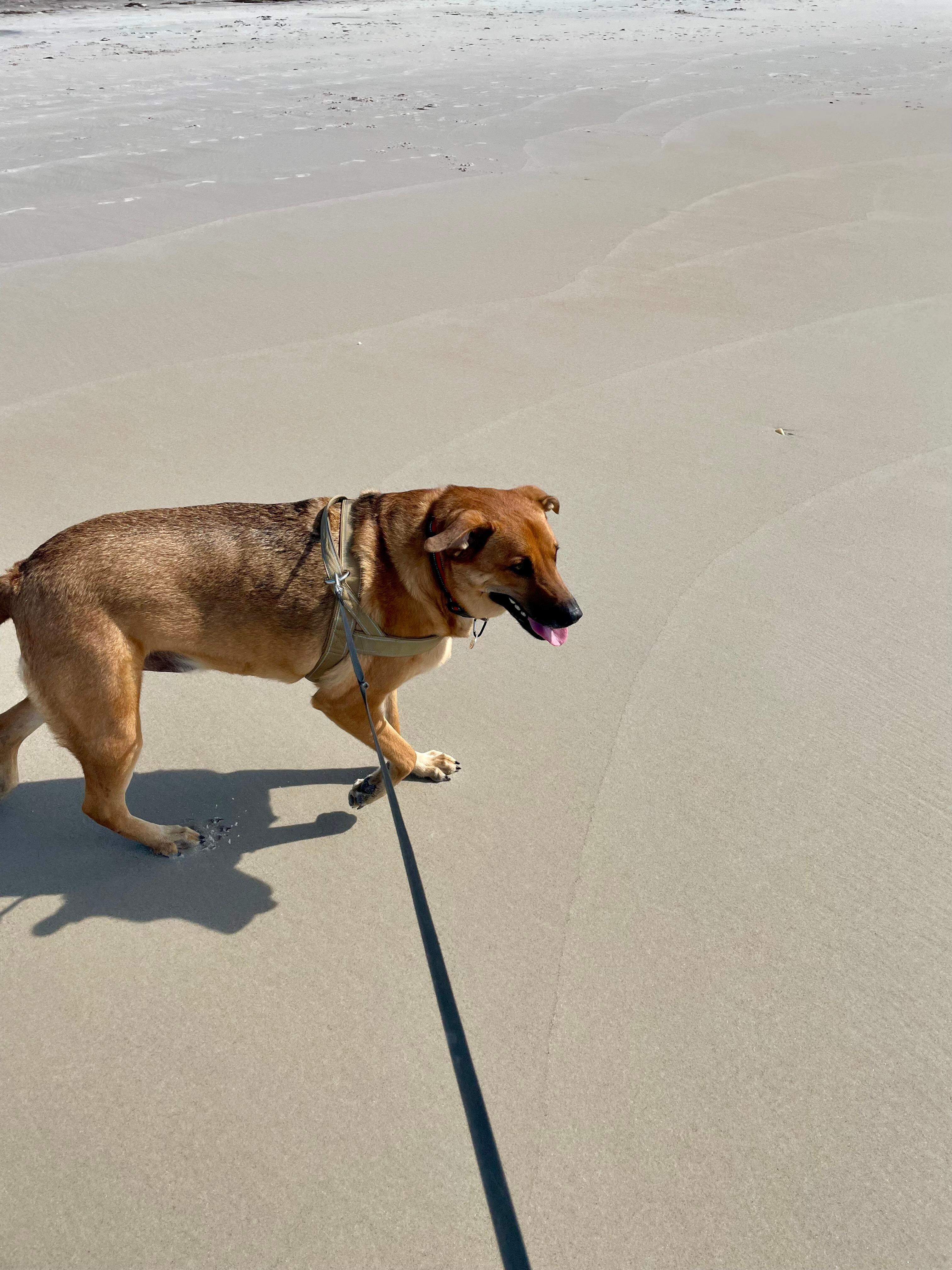 Doc (not so sure about this water coming at me! 🤣