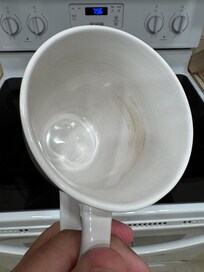 Would you drink from this cup?