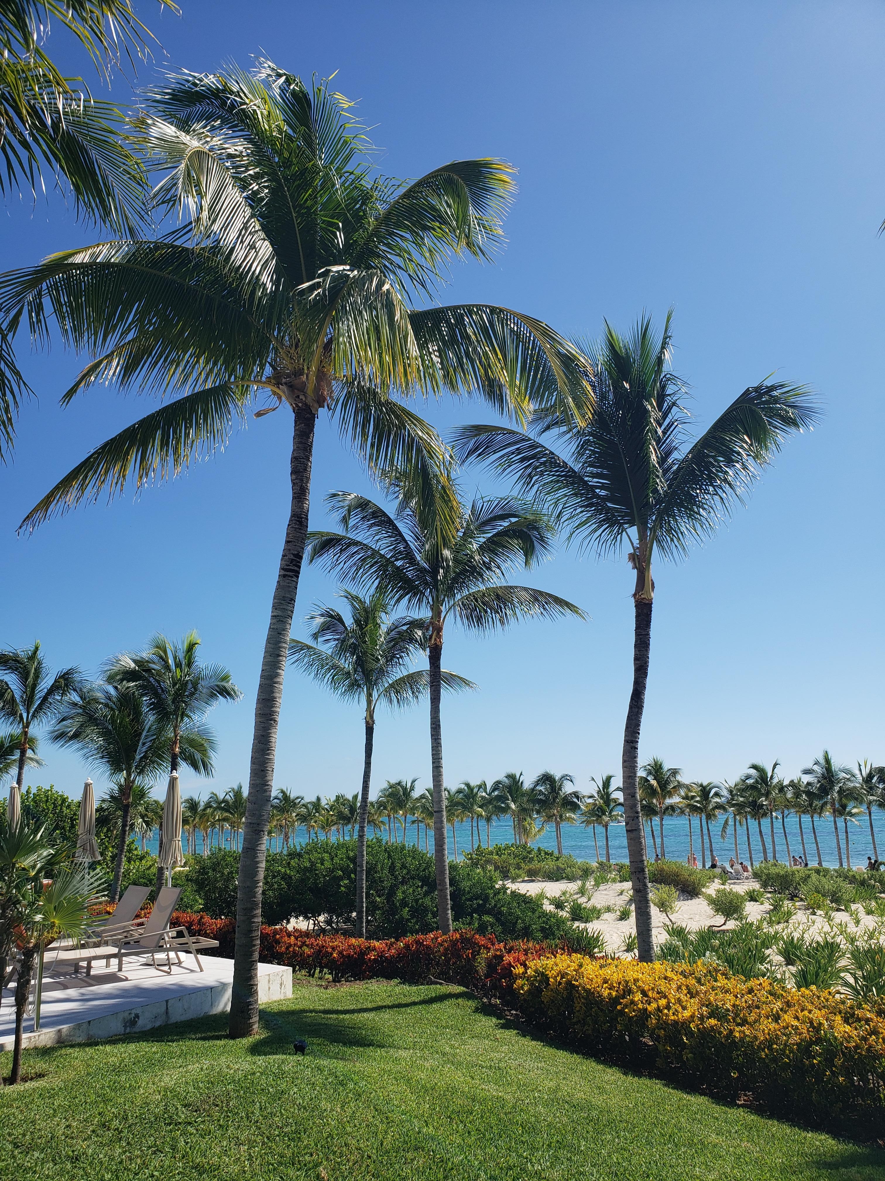 From the pool towards ocean