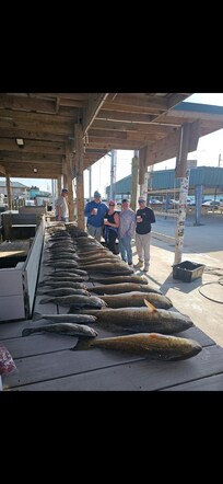 Day 2 Fishing. 185 lbs Fished 1/2 day on day 3 bite was a little tougher. 318 lbs total. Great trip.