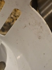 Mold in ice maker